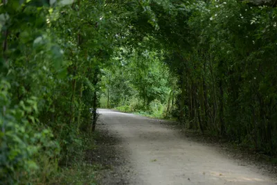 DSC_2497 (Large).JPG